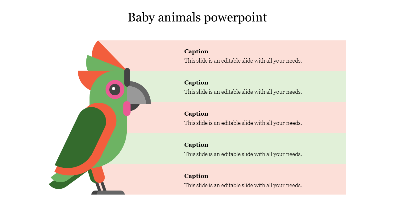 Baby animals powerpoint
